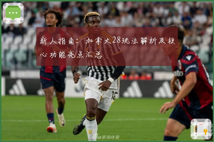 新人指南：加拿大28玩法解析及核心功能亮点汇总