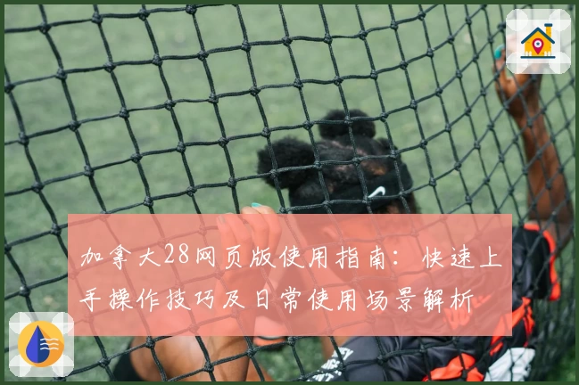 加拿大28网页版使用指南：快速上手操作技巧及日常使用场景解析