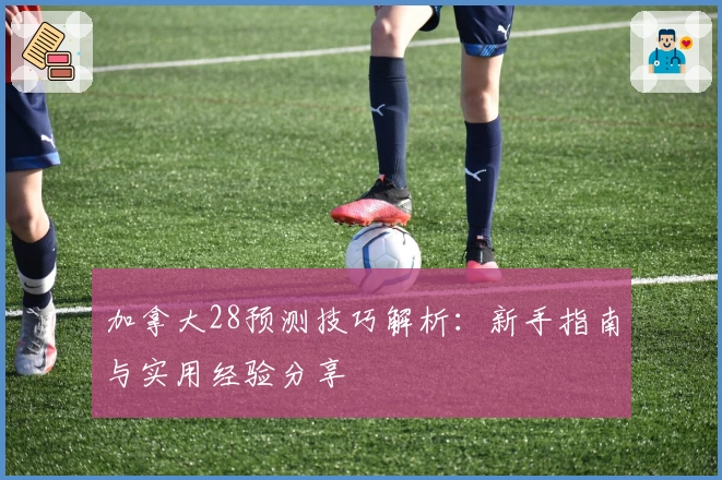 加拿大28预测技巧解析：新手指南与实用经验分享