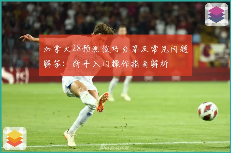 加拿大28预测技巧分享及常见问题解答：新手入门操作指南解析