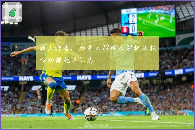 新人指南：加拿大28玩法解析及核心功能亮点汇总