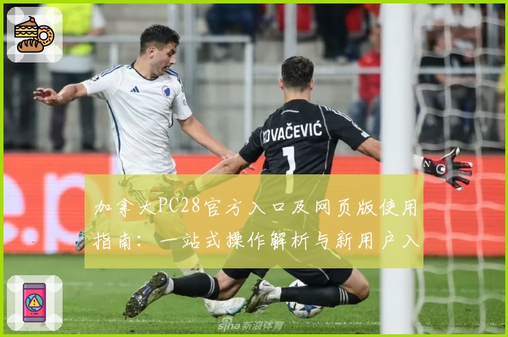 加拿大PC28官方入口及网页版使用指南：一站式操作解析与新用户入门技巧分享