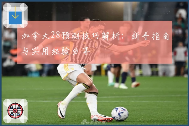 加拿大28预测技巧解析：新手指南与实用经验分享
