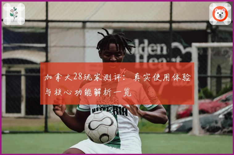 加拿大28玩家测评：真实使用体验与核心功能解析一览