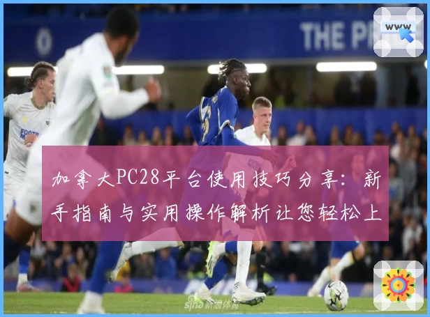 加拿大PC28平台使用技巧分享：新手指南与实用操作解析让您轻松上手