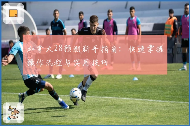 加拿大28预测新手指南：快速掌握操作流程与实用技巧