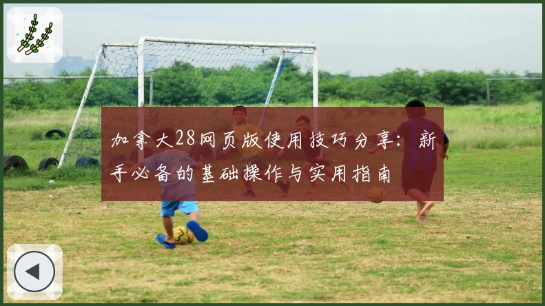 加拿大28网页版使用技巧分享：新手必备的基础操作与实用指南