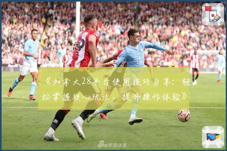《加拿大28平台使用技巧分享：轻松掌握核心玩法，提升操作体验》