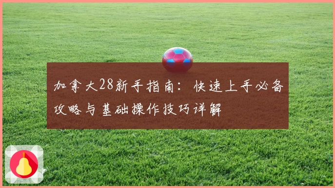 加拿大28新手指南：快速上手必备攻略与基础操作技巧详解