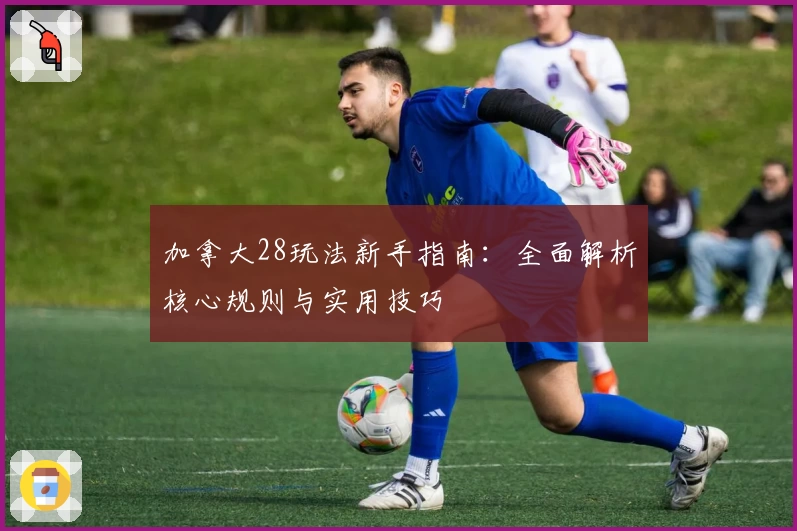 加拿大28玩法新手指南：全面解析核心规则与实用技巧