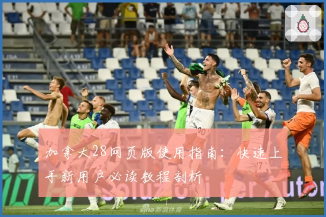 加拿大28网页版使用指南：快速上手新用户必读教程剖析